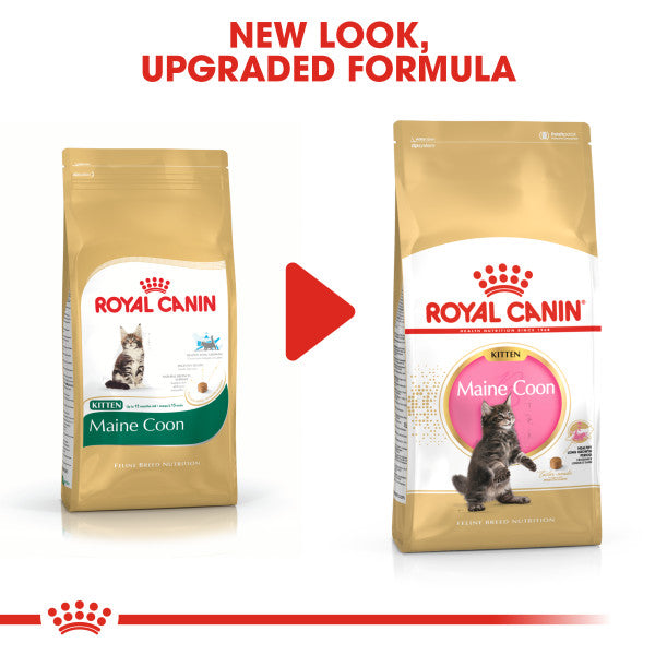 Royal canin kitten clearance formula