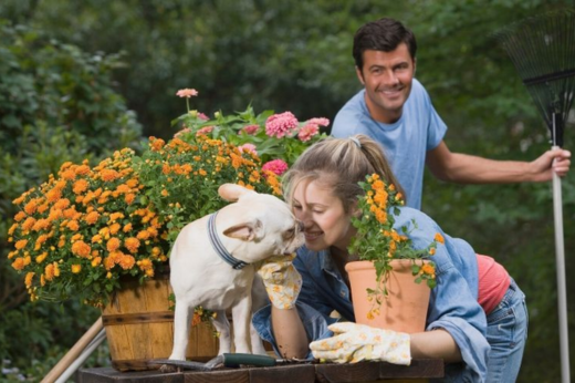 Gardening with Pets: Creating a Safe and Enjoyable Outdoor Space