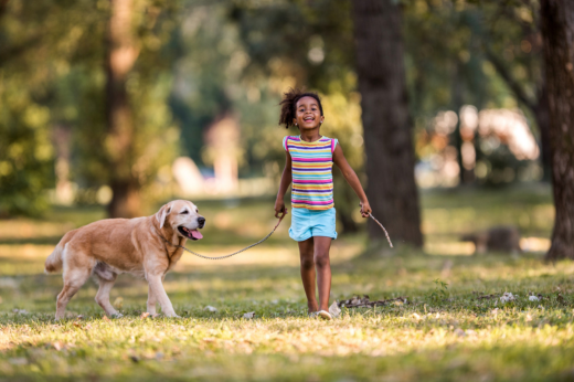 Step into the New Year with National Walk Your Dog Month