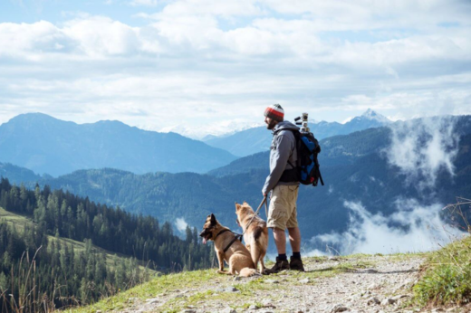 How to Prepare Your Dog for Hiking & Outdoor Walks