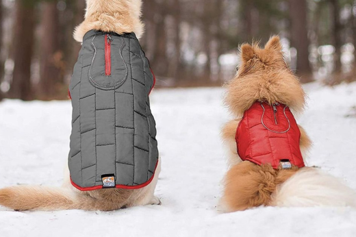 Keeping Pets Warm And Safe During Winter | Direct4Pet