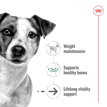 Load image into Gallery viewer, Royal Canin Dog Mini Ageing Loaf in Can 195g x 12
