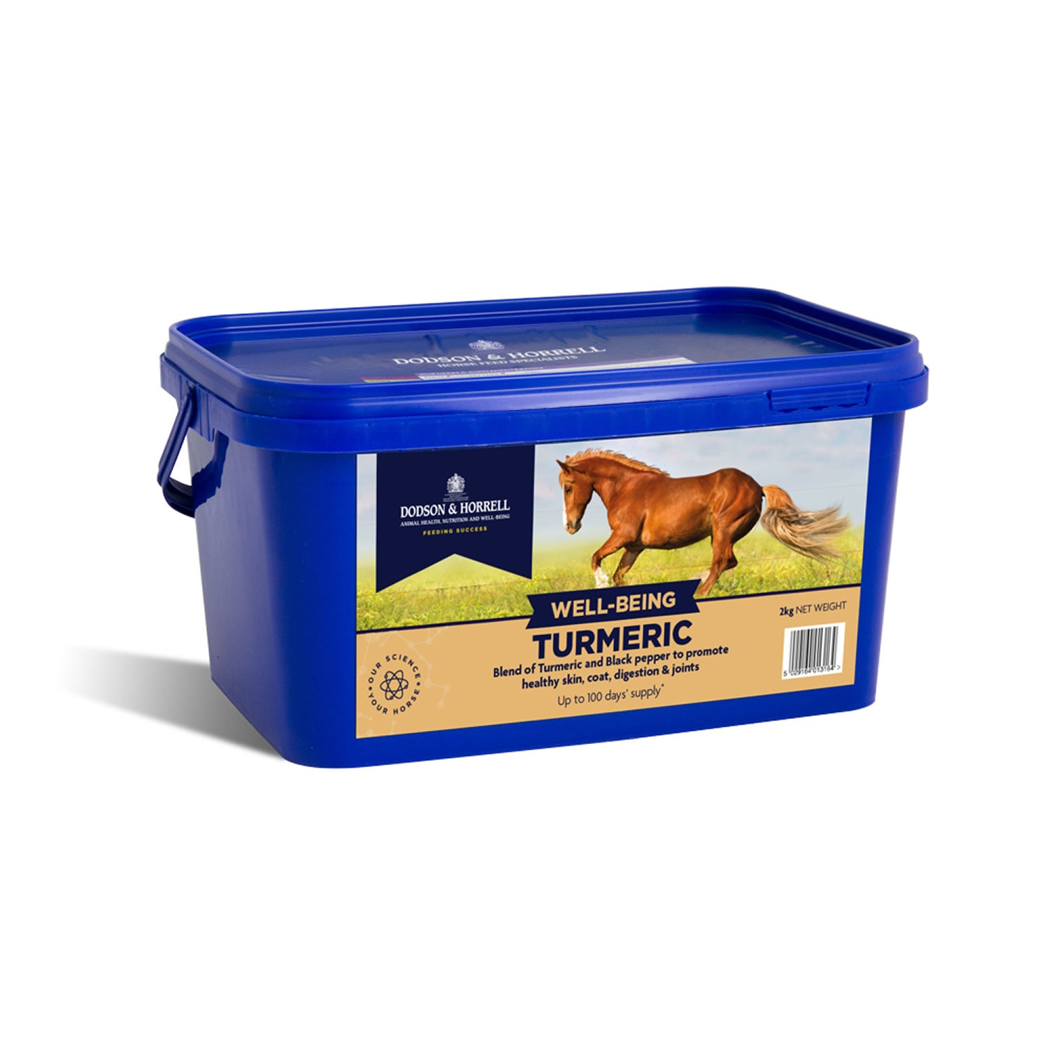 Dodson & Horrell Turmeric 2kg