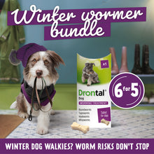 Load image into Gallery viewer, Drontal Tasty Bone Wormer Tablets, Convenient for Small &amp; Medium Dogs (2 to 20kg) 6 Tablets
