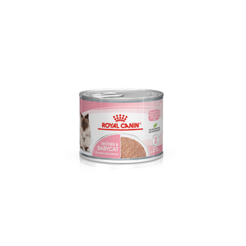 Royal Canin Mother & Babycat Mousse 12 x 195g