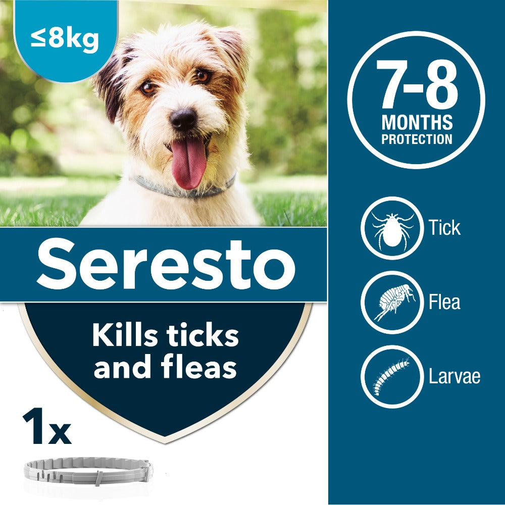 Large seresto collar on small dog best sale