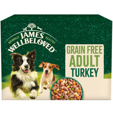 Load image into Gallery viewer, James Wellbeloved Grain Free Adult Turkey In Gravy Pouch 90g x 12
