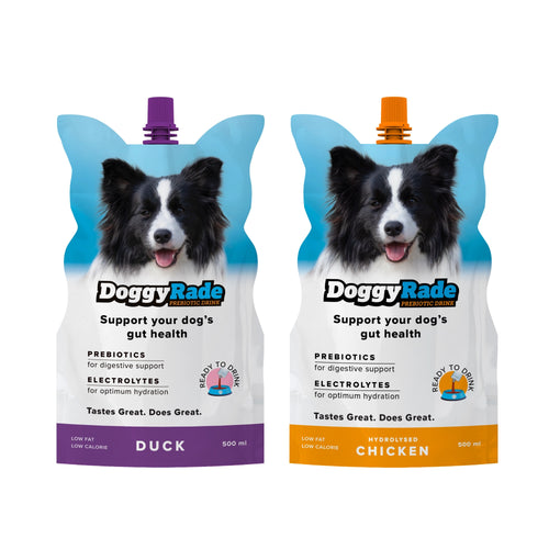 DoggyRade Hydrating Isotonic Fluid Support Drink for Pet Dogs 500ml