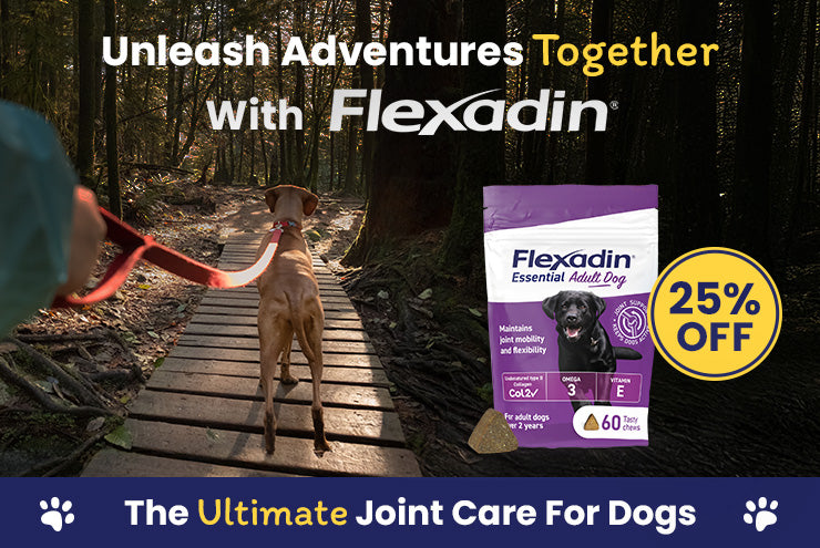 Flexadin November Offer