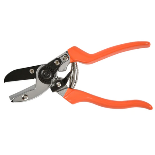 Burgon & Ball Anvil Secateur