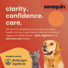 Load image into Gallery viewer, Seraquin Joint Tablets For Cats &amp; Dogs - 800mg / 2g x 60 Chewable Tablets
