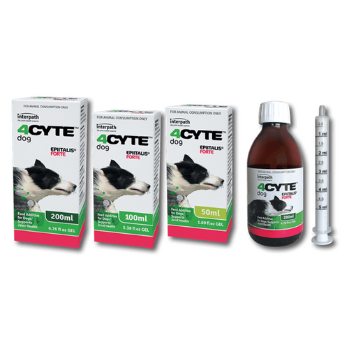 4CYTE Epiitalis Forte Joint Care Supplement For Dogs - Various Sizes 