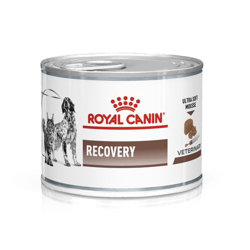 Royal Canin Veterinary Health Nutrition Canine/Feline Recovery Mousse 195g x 12