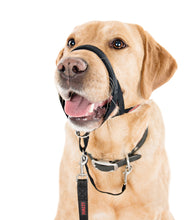 Load image into Gallery viewer, Company of Animals Halti Headcollar Padded Black Size 2
