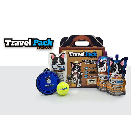 DoggyRade TravelPack Kit For Dogs Prebiotic Drinks & Treats