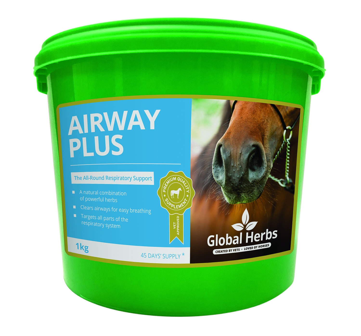 Global Herbs Airway Plus Powder - 1kg 