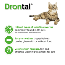 Load image into Gallery viewer, Drontal Wormer Tablets, Convenient for Large Cats (Over 4kg) 6 Tablets
