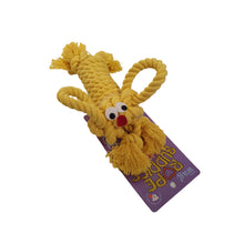 Load image into Gallery viewer, Henry Wag Rope Buddy Toy- Various Colours 
