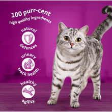 Load image into Gallery viewer, WHISKAS 1+ Cat 85g Pouches x 40 , Fish, Poultry fish and Surf &amp;Turf 
