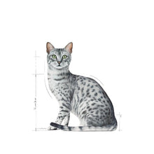 Load image into Gallery viewer, Royal Canin Indoor Sterilised in Gravy 12 x 85g
