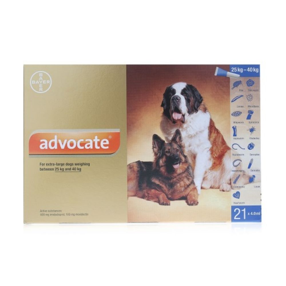 Advocate Spot On For Dogs - 400 (Imidaclopid/Moxidectin) for Dogs Over 25kg