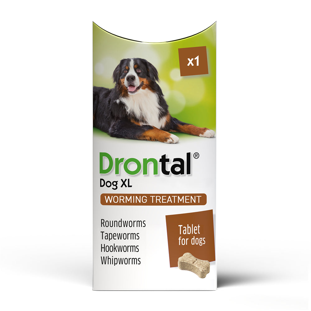 Drontal dog large hotsell