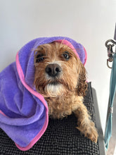 Load image into Gallery viewer, Dot Dot Pet - Highly Absorbent Bamboo Towels for dogs in Small and Medium 
