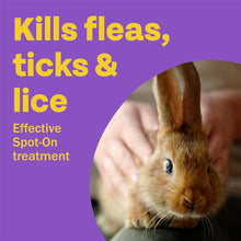 Load image into Gallery viewer, Bob Martin Clear Spot on for Small Animals - Flea, Tick &amp; Mite - 1 Treatment
