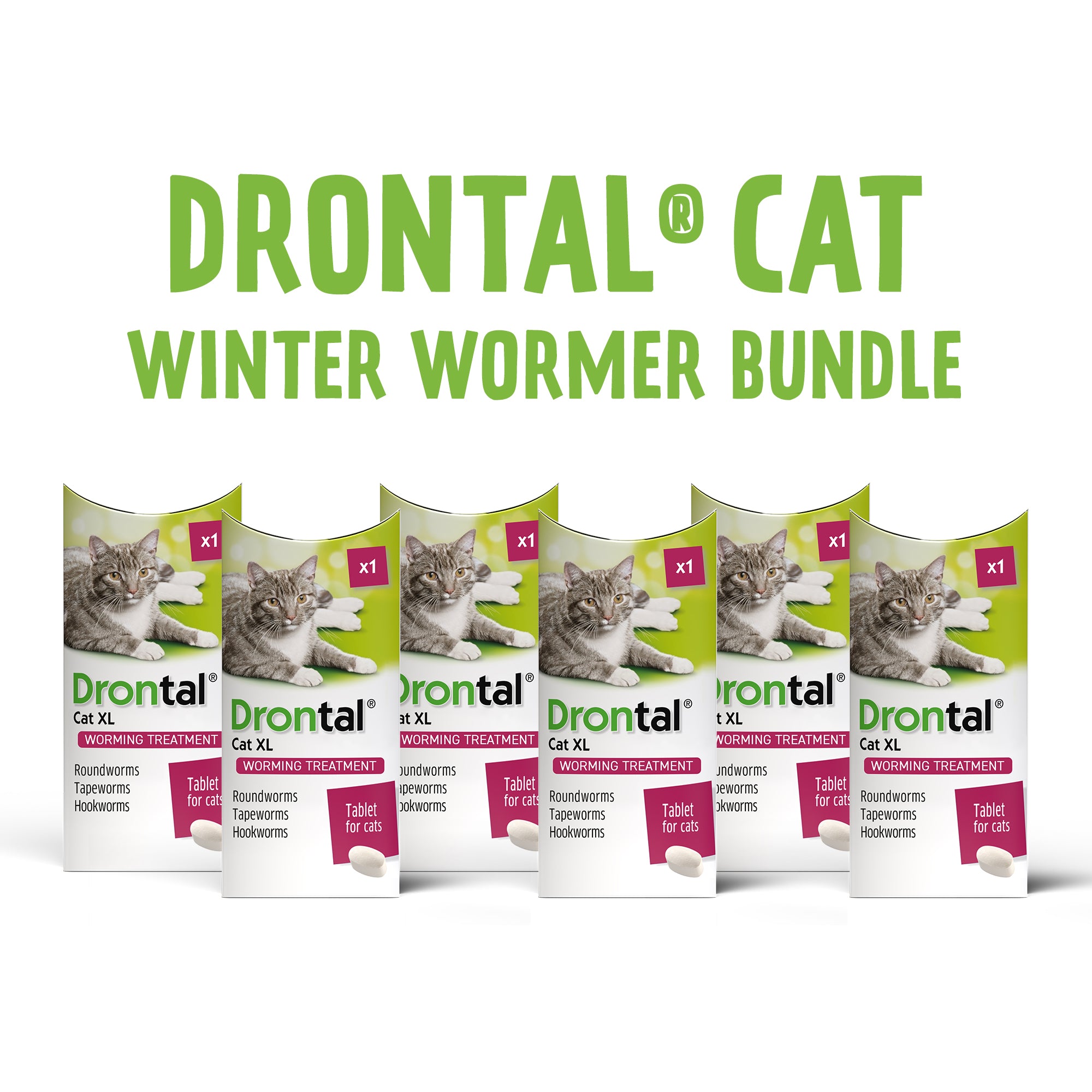 Drontal Wormer Tablets, Convenient for Large Cats (Over 4kg) 6 Tablets