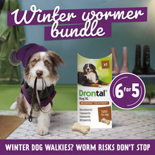 Load image into Gallery viewer, Drontal Tasty Bone XL Wormer Tablets, Convenient for Large Dogs (Over 20kg) 6 Tablets
