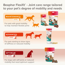 Load image into Gallery viewer, Beaphar Flexifit Cat &amp; Dog Paste Joint Supplement To Aid Stiff Joints
