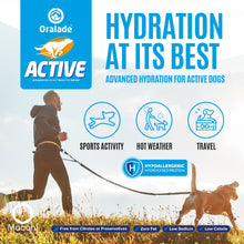 Load image into Gallery viewer, Oralade Active Isotonic Hydration Fluid For Dogs 250ml
