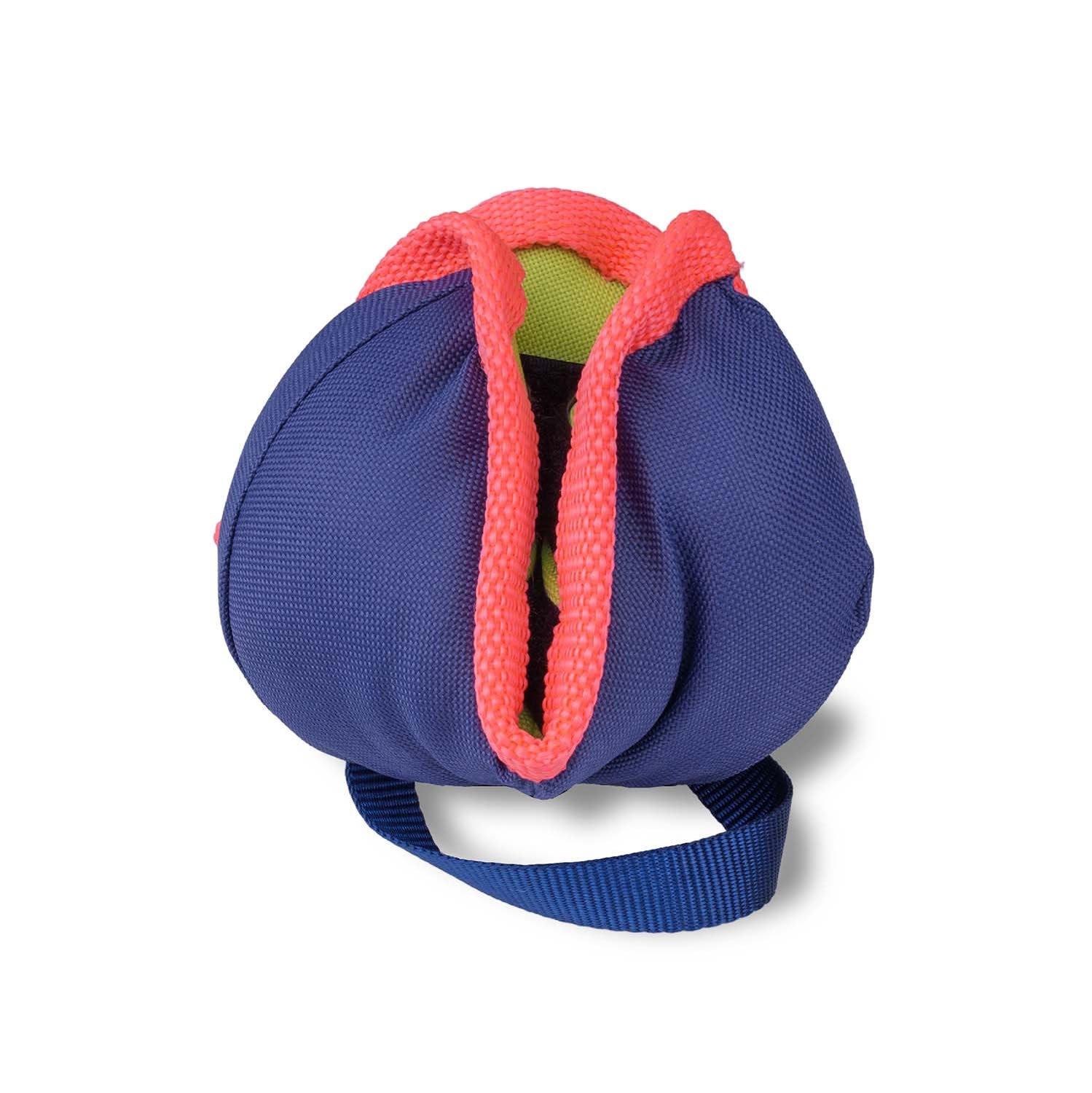 Coachi Chase & Treat Navy/Coral/Lime For Dogs & Puppies