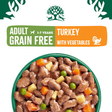 Load image into Gallery viewer, James Wellbeloved Grain Free Adult Turkey In Gravy Pouch 90g x 12
