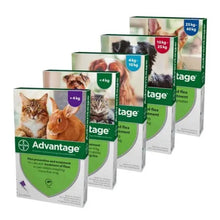 Load image into Gallery viewer, Advantage Spot On Flea Treatment For Cats, Dogs &amp; Rabbits - 1 Pipette
