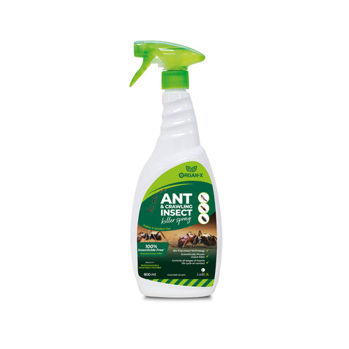 Lodi Organ-X Ant & Crawling Insect Killer Spray 800ml