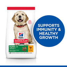 Load image into Gallery viewer, Hill&#39;s Science Plan Large Breed Puppy Dry Food with Chicken 12kg Bag
