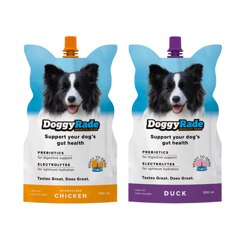 DoggyRade Isotonic Fluid Support Drink for Pet Dogs 250ml