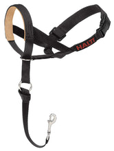 Load image into Gallery viewer, Company of Animals Halti Headcollar Padded Black Size 2
