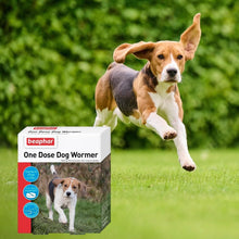 Load image into Gallery viewer, Beaphar One Dose Dog Wormer - 6-20kg 2 Tablets
