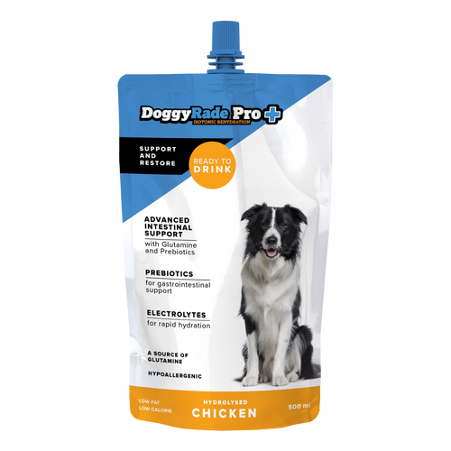 DoggyRade Pro Isotonic Fluid Support Drink for Pet Dogs 500ml