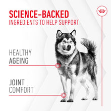 Load image into Gallery viewer, Royal Canin Joint &amp; Ageing Supplement 240g
