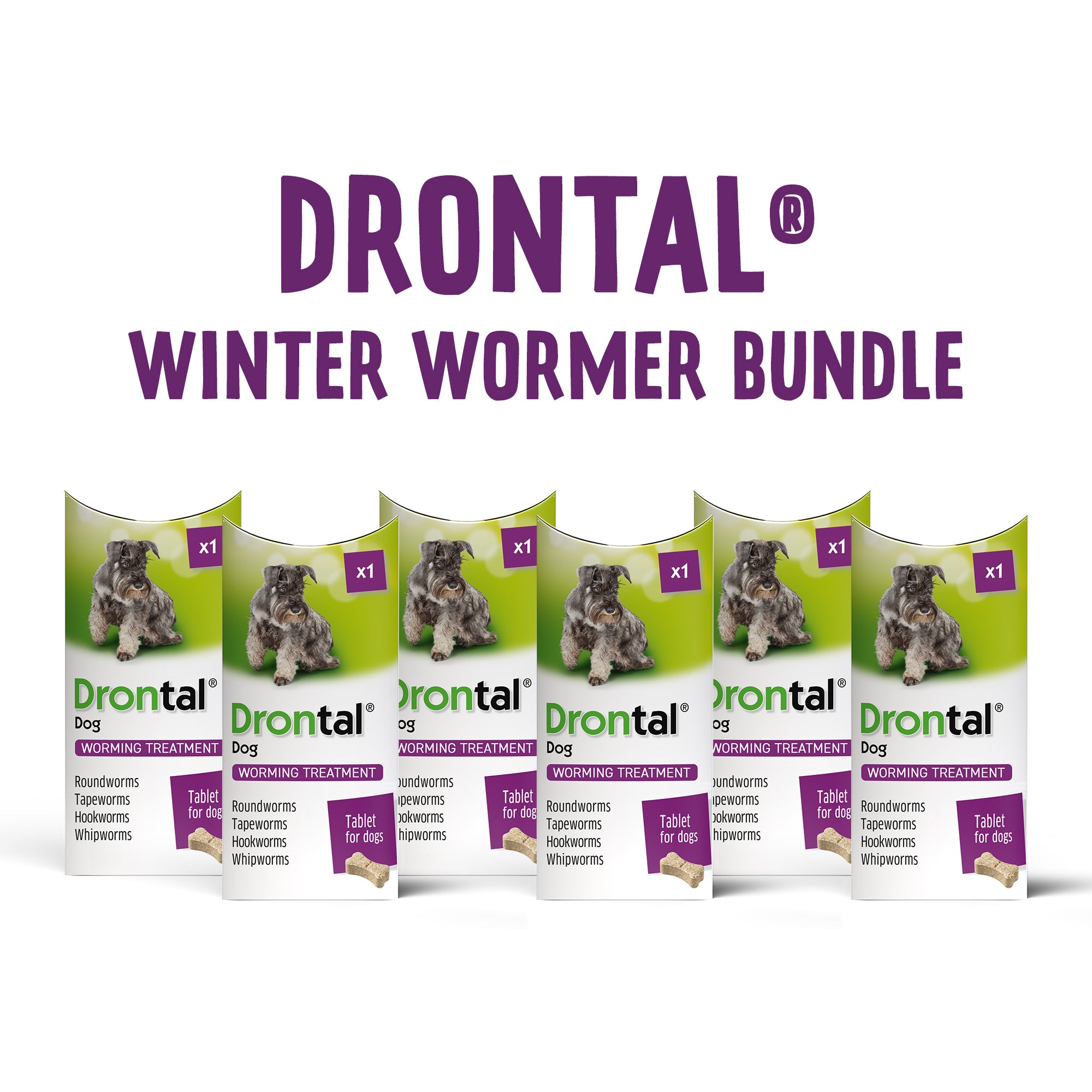 Drontal Tasty Bone Wormer Tablets, Convenient for Small & Medium Dogs (2 to 20kg) 6 Tablets