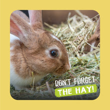 Load image into Gallery viewer, Burgess Excel Feeding Hay With Dandelion &amp; Marigold 1kg
