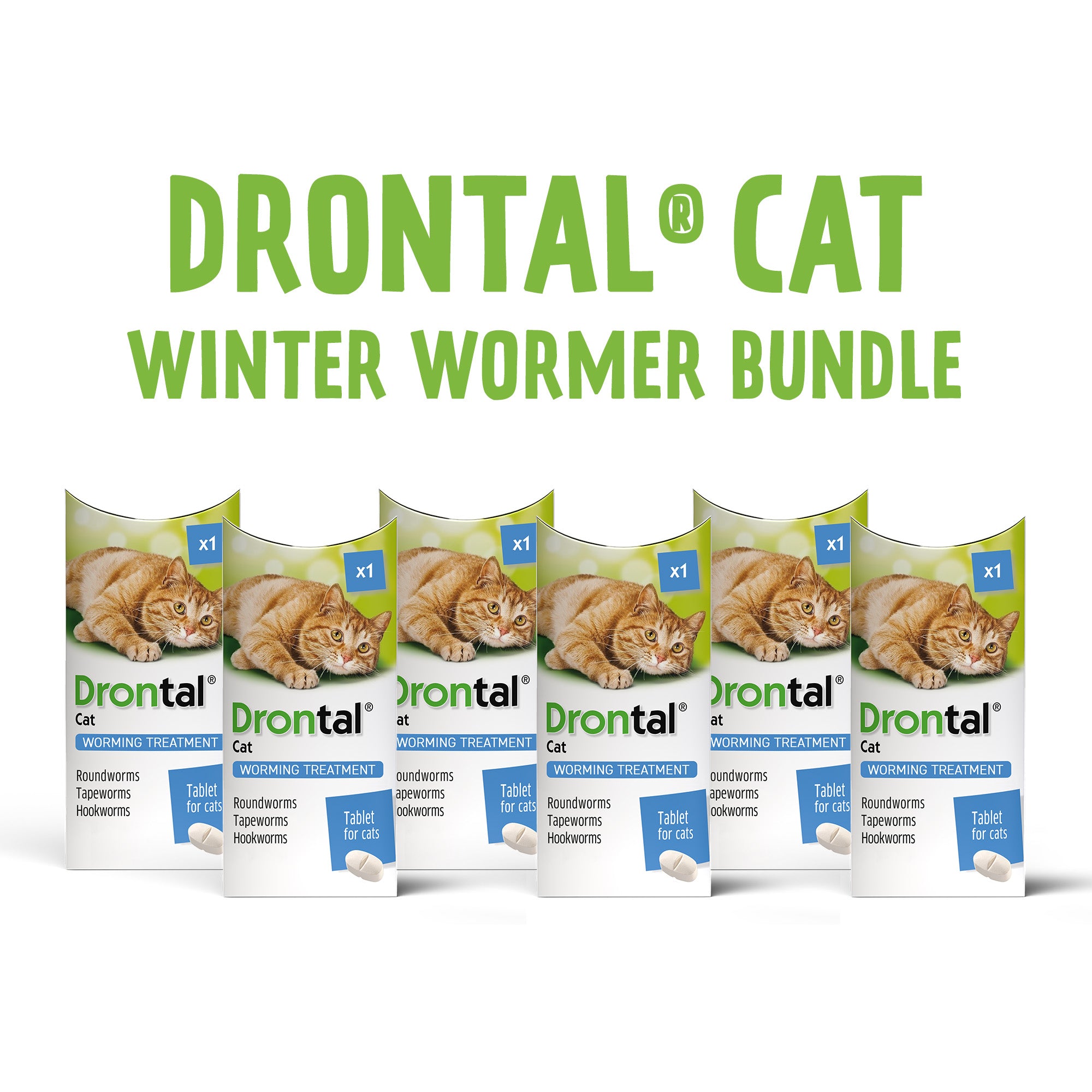 Drontal Wormer Tablets, Convenient for Small & Medium Cats (Under 4kg) 6 Tablets