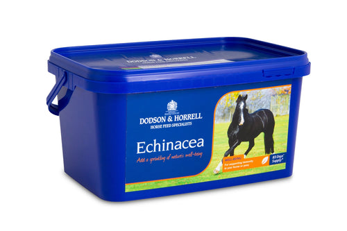 Dodson & Horrell Echinacea 1kg