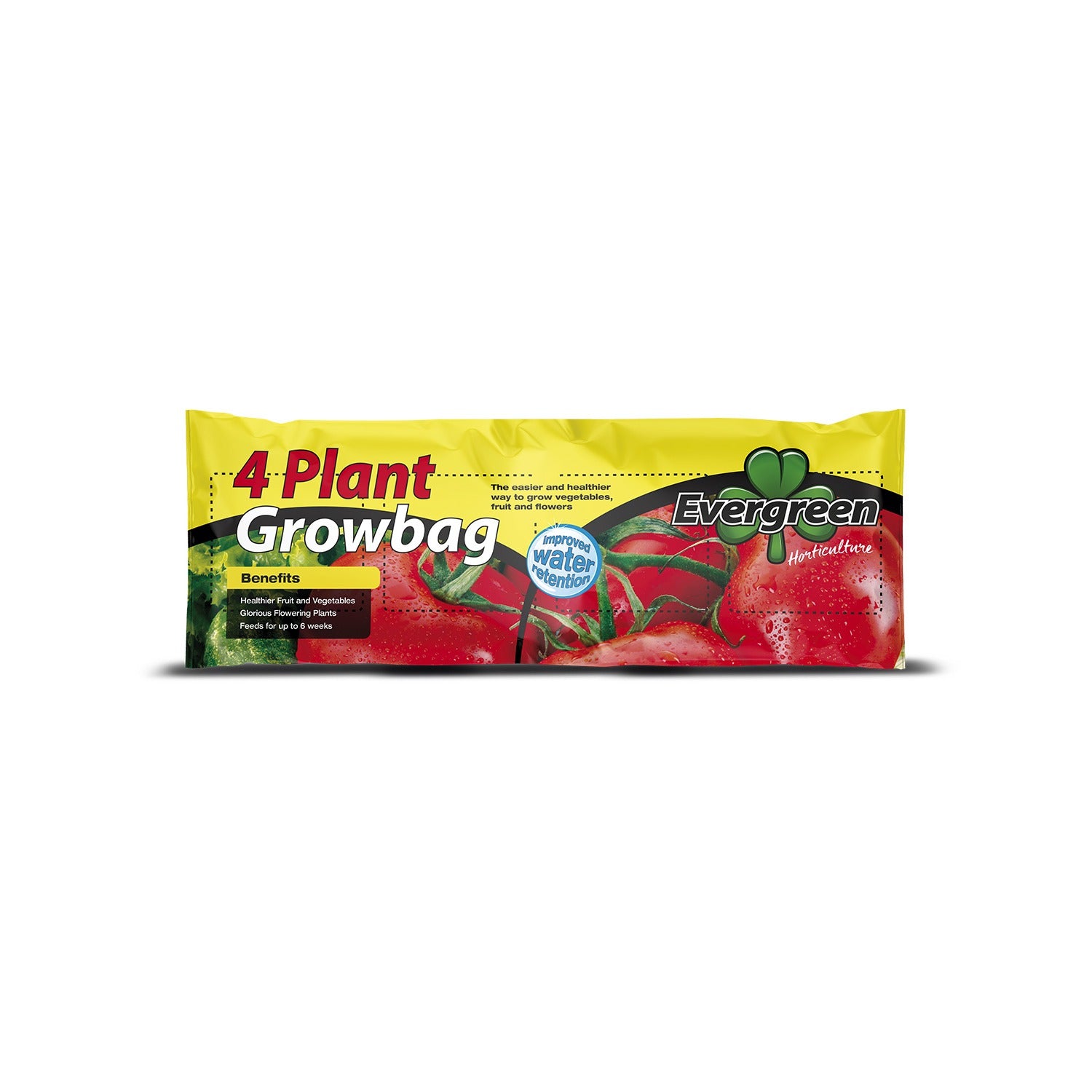 Evergreen 4 Plant Grow Bag 36 Litres - Nutrient Rich Compost