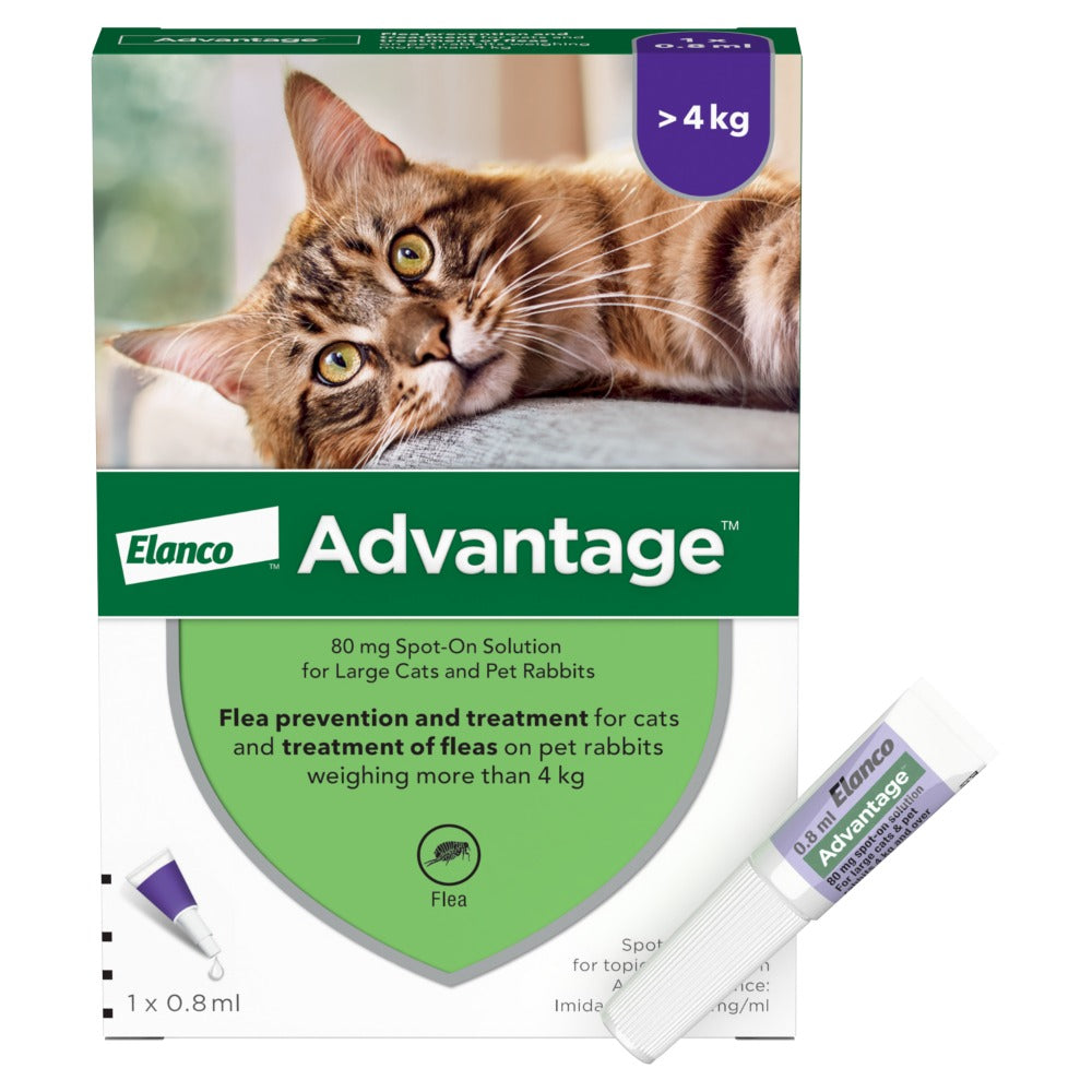 Advantage Spot On Flea Treatment For Cats Dogs Rabbits 1 Pipette