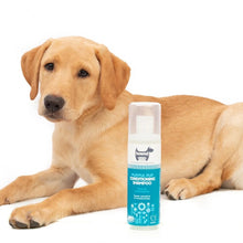 Load image into Gallery viewer, Hownd Playful Pup Conditioning Shampoo 250ml
