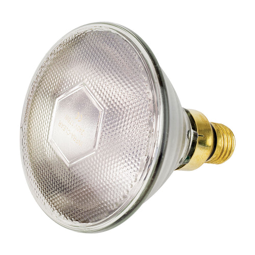 Intelec PAR38 Infra-Red Heat Bulb Clear 100W